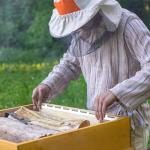 Beehive Frame Spacers - Honeycomb Frame Strips