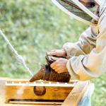 Beehive Frame Spacers - Honeycomb Frame Strips