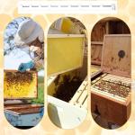 Beehive Frame Spacers - Honeycomb Frame Strips