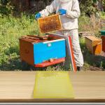 Queen Excluder Beekeeping Grid for Hive Control