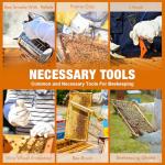 MayBee Beeswax 8-Frame Beehive Starter Kit