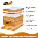 MayBee Beeswax 8-Frame Beehive Starter Kit