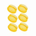 Queen Bee Rearing Box for Beekeeping