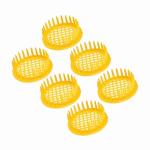 Queen Bee Rearing Box for Beekeeping