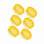 Queen Bee Rearing Box for Beekeeping