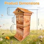 Beginner's Bee Hive Kit with Observation Window
