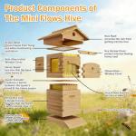 Beginner's Bee Hive Kit with Observation Window