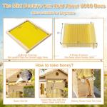 Beginner's Bee Hive Kit with Observation Window