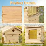 Beginner's Bee Hive Kit with Observation Window