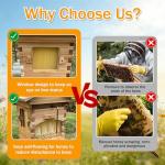 Beginner's Bee Hive Kit with Observation Window