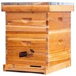 10 Frame Beginner Bee Hive Starter Kit