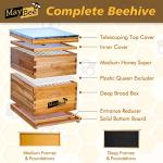 10 Frame Beginner Bee Hive Starter Kit