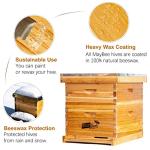 10 Frame Beginner Bee Hive Starter Kit