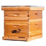 10 Frame Beginner Bee Hive Starter Kit