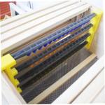 Queen Rearing Kit with Color-Coded Cell Cups