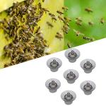 100 pcs Queen Bee Cell Cups for Beekeeping