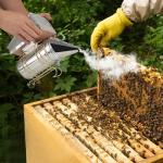 Beekeeping Tool Kit with Hive Smoker and Accessories