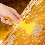 Stainless Steel Uncapping Fork for Beekeeping