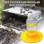 Bee Water Bowl - Essential Drinking Station for Bees