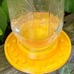 Bee Water Bowl - Essential Drinking Station for Bees