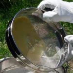 Stainless Steel Honey Strainer with Fine Mesh