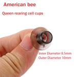HunterBee 200 Queen Bee Cell Cups for Rearing
