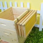 Stainless Steel Bee Hive Frame Holder Tool