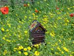 Bee Hotel for Happy, Healthy Bees