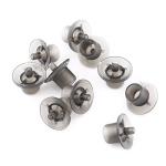 Queen Rearing Cell Cups for Beekeeping - 50 pcs