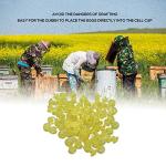 100 Queen Bee Rearing Cups for Beekeepers