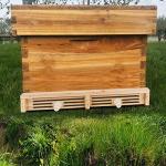 Wooden Pollen Collector Tray for Beekeeping