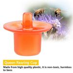 50 Beekeeping Queen Cell Cups for Rearing Bees