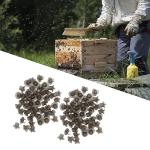 100 Plastic Queen Bee Rearing Cups