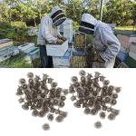 100 Plastic Queen Bee Rearing Cups