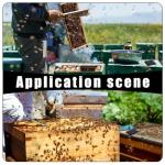 30 Pcs Beehive Beetle Traps for Beekeeping