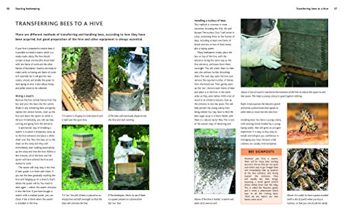 Complete Beekeeping Guide: Learn Art and Care