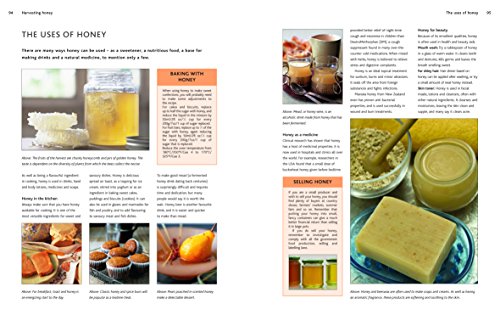 Complete Beekeeping Guide: Learn Art and Care