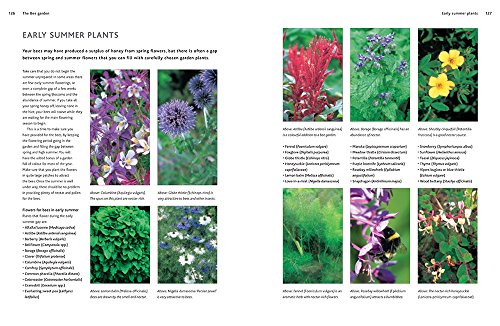 Complete Beekeeping Guide: Learn Art and Care
