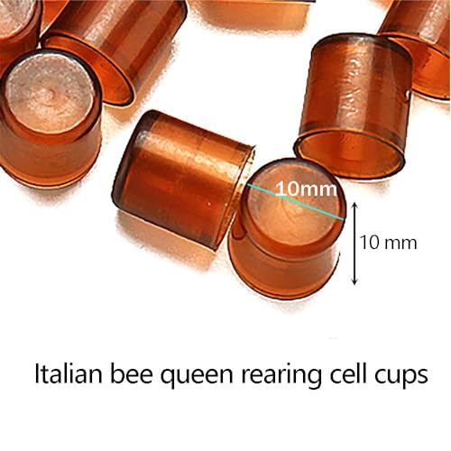 Beekeeper's Grafting Kit for Queen Bee Rearing
