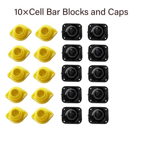Beekeeper's Grafting Kit for Queen Bee Rearing
