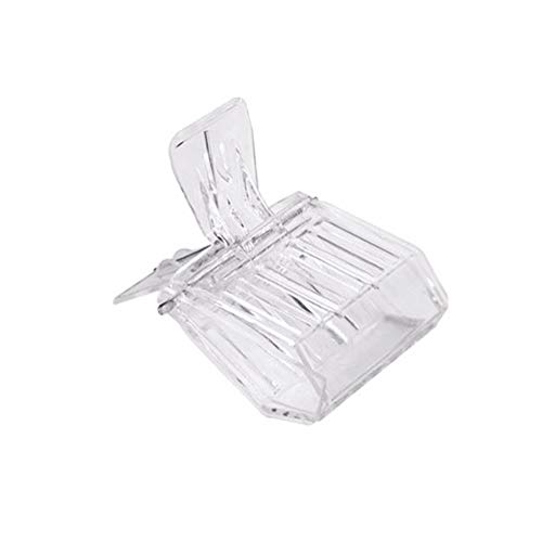 Complete Beekeeping Starter Kit - 5 Essential Tools