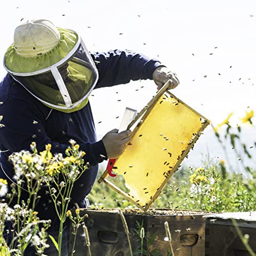 Stainless Steel Bee Hive Tool - Beekeeping Essential