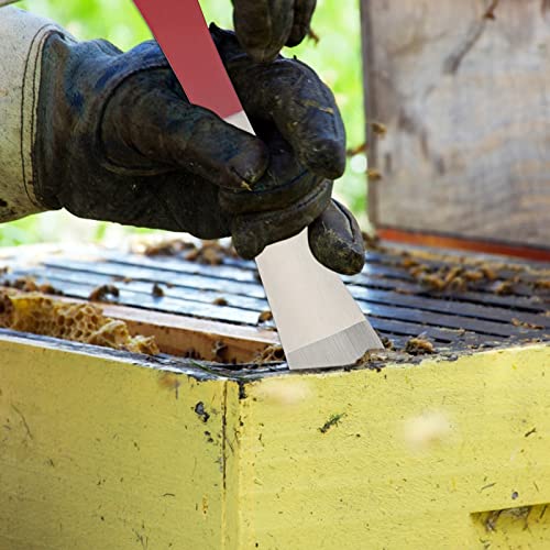 304 Stainless Steel Bee Hive Scraper Tool