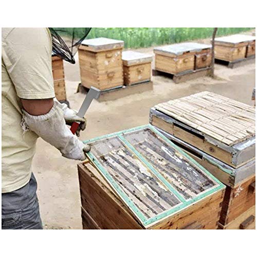 Beekeeping Essential: Stainless Steel 2pc Tool Set