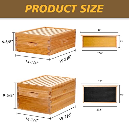 Beehive Kit: Wooden Frames & Waxed Foundations