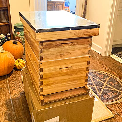 Beehive Kit: Wooden Frames & Waxed Foundations
