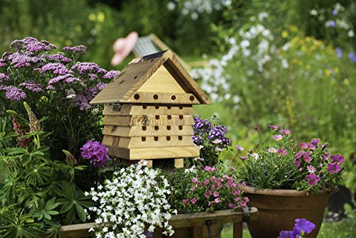 Solitary Bee Hive by Wildlife World