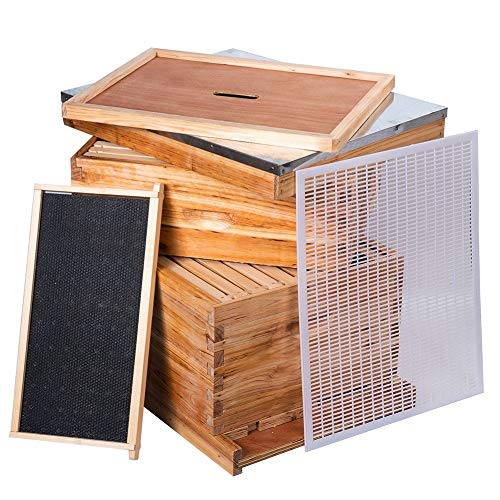 Beehive Kit: Wooden Frames & Waxed Foundations