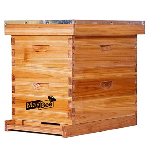 Beehive Kit: Wooden Frames & Waxed Foundations