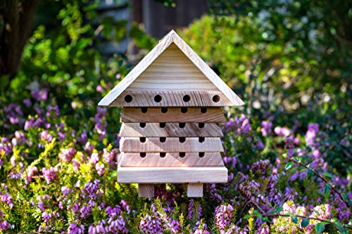 Solitary Bee Hive by Wildlife World